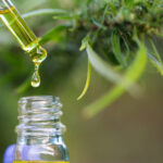 Getting Relief: The Best CBD Options for Easing Joint Pain and Inflammation