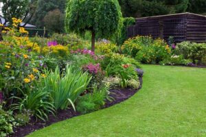 Eco-Friendly Landscaping Tips for a Beautiful Yard